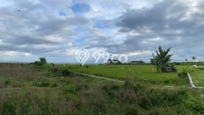 Tanah Dijual di Gianyar Seluas 23907m2 Strategis Tanah Dijual di Gianyar Seluas 23907m2 Strategis