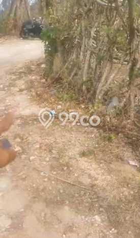 Dijual Tanah 500m2 di Pecatu, Badung Dijual Tanah 500m2 di Pecatu, Badung