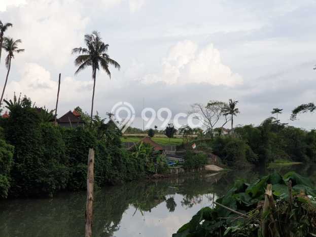 Tanah Kavling Dijual di Tabanan dengan Spesifikasi 2700m2 Tanah Kavling Dijual di Tabanan dengan Spesifikasi 2700m2