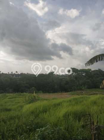 Jarang Ada! Tanah di Kediri Punya Luas 1880m2 SHM Jarang Ada! Tanah di Kediri Punya Luas 1880m2 SHM
