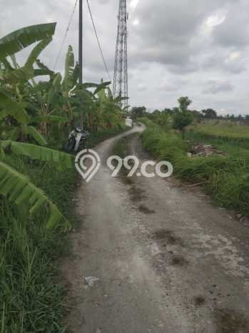 Jarang Ada! Tanah di Kediri Punya Luas 1880m2 SHM Jarang Ada! Tanah di Kediri Punya Luas 1880m2 SHM