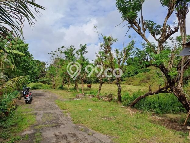 Tanah Kavling Dijual di Jimbaran, Badung dengan Luas Tanah 5950m2 Tanah Kavling Dijual di Jimbaran, Badung dengan Luas Tanah 5950m2