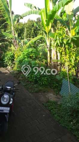 Dijual Tanah di Gianyar, Luas 4700m2 SHM Dijual Tanah di Gianyar, Luas 4700m2 SHM