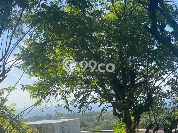 Dijual Tanah Lokasi Pecatu, Badung Seluas 5000m2 Dijual Tanah Lokasi Pecatu, Badung Seluas 5000m2