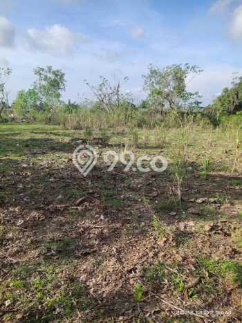 Tanah Dijual Area Strategis di Jimbaran Badung 2000m2 Tanah Dijual Area Strategis di Jimbaran Badung 2000m2