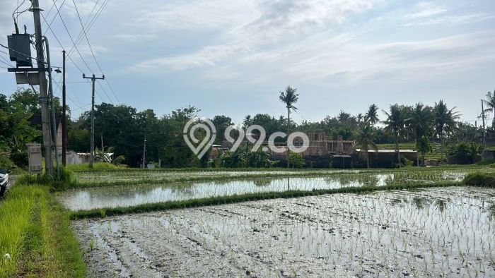 Kavling Tanah di Kediri Dijual Luas 2000m2 Legalitas SHM Kavling Tanah di Kediri Dijual Luas 2000m2 Legalitas SHM