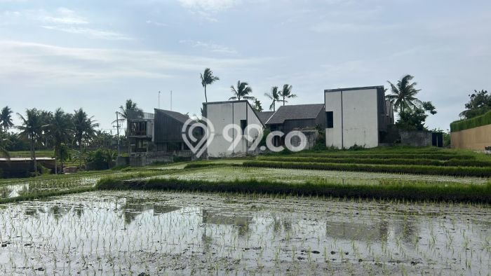 Kavling Tanah di Kediri Dijual Luas 2000m2 Legalitas SHM Kavling Tanah di Kediri Dijual Luas 2000m2 Legalitas SHM