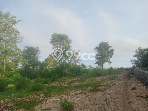 Tanah Kavling di Kuta Selatan Dijual dengan Luas 6000m2 Tanah Kavling di Kuta Selatan Dijual dengan Luas 6000m2