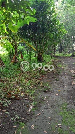 Lahan untuk Dijual Lokasi Ngaglik, Sleman Luas 1000m2 SHM Lahan untuk Dijual Lokasi Ngaglik, Sleman Luas 1000m2 SHM