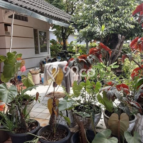 Rumah Strategis Antapani, Bandung, LT 264m2m² Bangunan 270m2m² Rumah Strategis Antapani, Bandung, LT 264m2m² Bangunan 270m2m²
