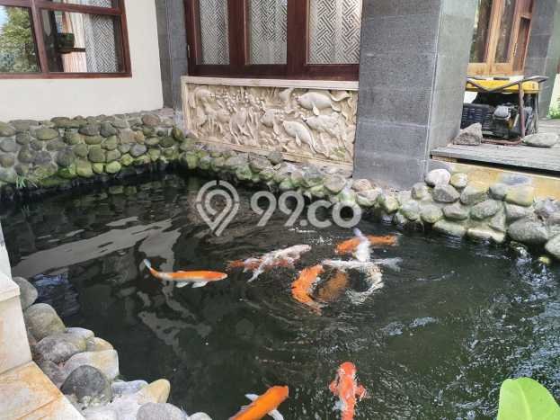 Siap Huni Rumah Mewah 6 Kamar di Ciawi Dekat ke Mana Pun Siap Huni Rumah Mewah 6 Kamar di Ciawi Dekat ke Mana Pun