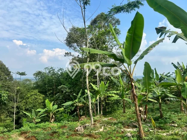 Dijual Tanah 76000m2 di Kota Sukabumi, Sukabumi Dijual Tanah 76000m2 di Kota Sukabumi, Sukabumi