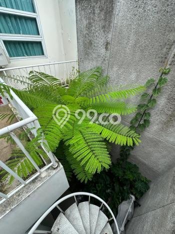 Jual Rumah Mewah Megah Dengan View Cantik di Joglo, Jakarta Barat Jual Rumah Mewah Megah Dengan View Cantik di Joglo, Jakarta Barat
