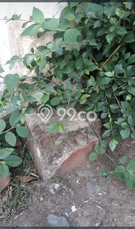 Kavling Tanah di Banyuwangi Dijual Luas 3748m2 Legalitas SHM Kavling Tanah di Banyuwangi Dijual Luas 3748m2 Legalitas SHM