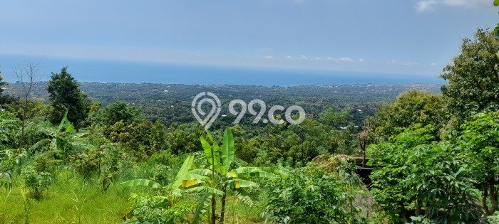 Tanah Dijual Lokasi Buleleng, Buleleng Luas 9800m2 Legalitas Aman Tanah Dijual Lokasi Buleleng, Buleleng Luas 9800m2 Legalitas Aman