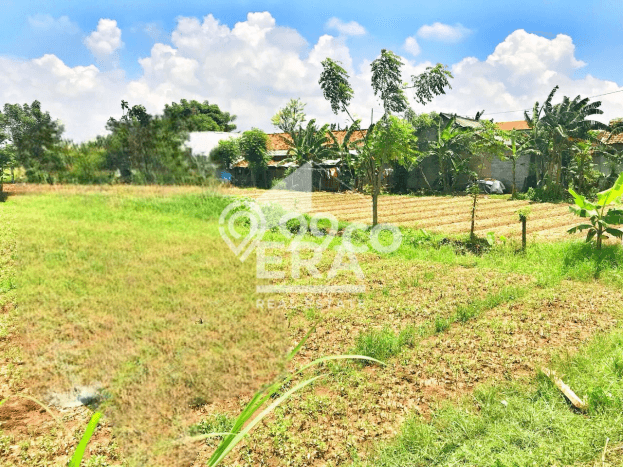 Jarang Ada! Tanah di Babelan Punya Luas 2478m2 SHM Jarang Ada! Tanah di Babelan Punya Luas 2478m2 SHM