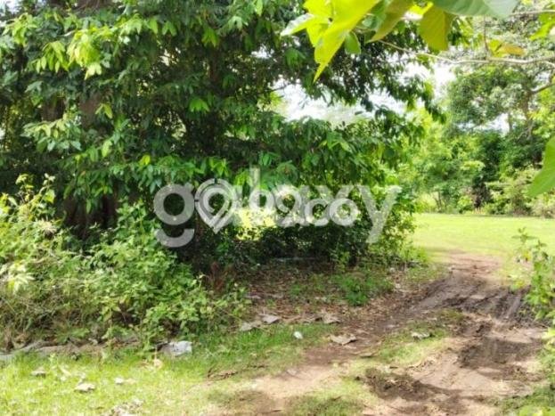 Tanah Kosong Dijual di Badung dengan Area 1888m2 Tanah Kosong Dijual di Badung dengan Area 1888m2