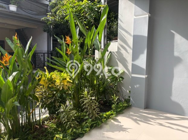 Rumah Luas Asri 3 KT Siap Huni di Graha Raya Tangerang Rumah Luas Asri 3 KT Siap Huni di Graha Raya Tangerang