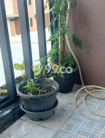 Disewakan segera rumah minimalis lokasi strategis 3 Kamar di Sepatan, Tangerang Disewakan segera rumah minimalis lokasi strategis 3 Kamar di Sepatan, Tangerang