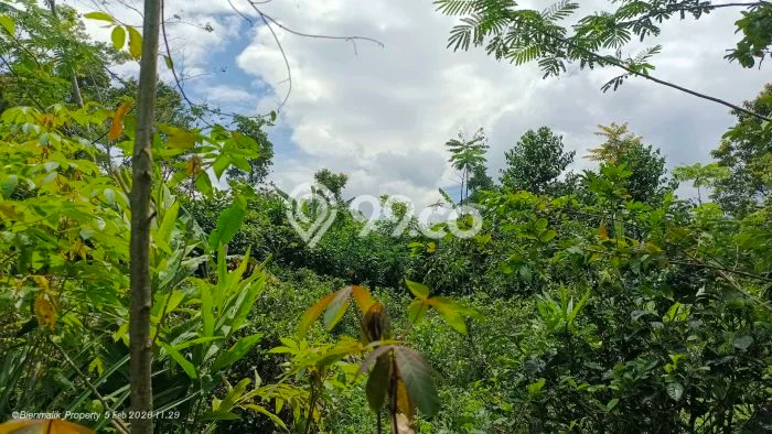 Tanah untuk Dijual Lokasi Kiarapedes, Purwakarta Luas 2227m2 SHM Tanah untuk Dijual Lokasi Kiarapedes, Purwakarta Luas 2227m2 SHM