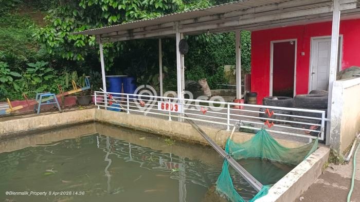 Kavling Tanah Dijual di Bojong Purwakarta Spesifikasi 3000m2 Kavling Tanah Dijual di Bojong Purwakarta Spesifikasi 3000m2