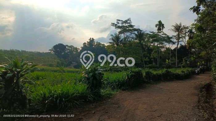 Tanah Kavling untuk Dijual di Darangdan Purwakarta 4000m2 Tanah Kavling untuk Dijual di Darangdan Purwakarta 4000m2