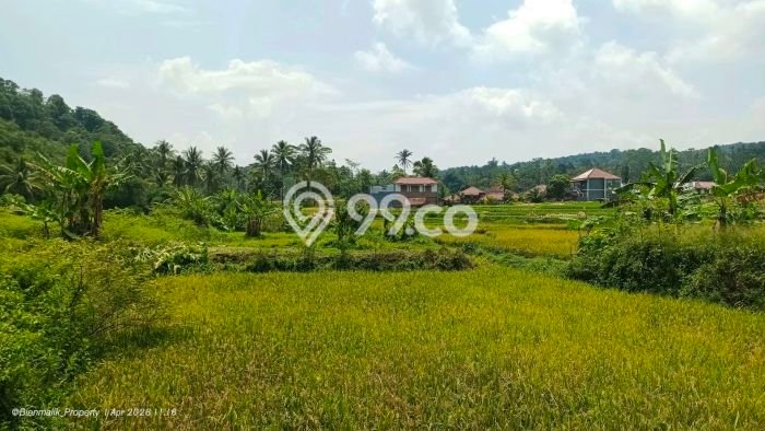 Kavling Tanah di Kiarapedes Dijual Luas 18000m2 Legalitas SHM Kavling Tanah di Kiarapedes Dijual Luas 18000m2 Legalitas SHM