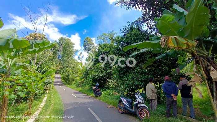 Tanah di Kiarapedes, Purwakarta Luas 1289m2 Dijual Segera Tanah di Kiarapedes, Purwakarta Luas 1289m2 Dijual Segera