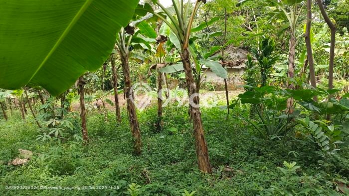 Kavling Tanah Dijual di Bojong Purwakarta Spesifikasi 654m2 Kavling Tanah Dijual di Bojong Purwakarta Spesifikasi 654m2