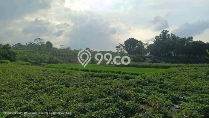 Tanah Kavling untuk Dijual di Darangdan Purwakarta 4000m2 Tanah Kavling untuk Dijual di Darangdan Purwakarta 4000m2