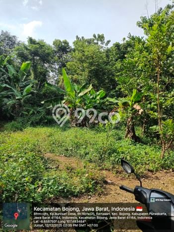 Tanah Dijual Lokasi Darangdan, Purwakarta Luas 1266m2 Legalitas Aman Tanah Dijual Lokasi Darangdan, Purwakarta Luas 1266m2 Legalitas Aman