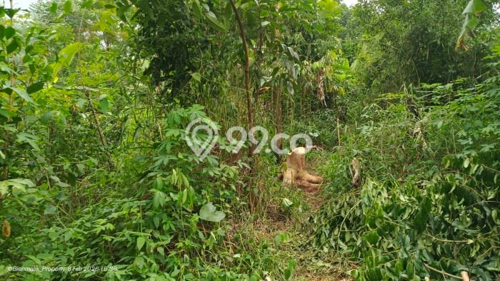Lahan untuk Dijual di Bojong Purwakarta Luas 3m2 Lahan untuk Dijual di Bojong Purwakarta Luas 3m2