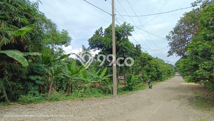 Kavling Tanah Dijual di Bojong Purwakarta Spesifikasi 654m2 Kavling Tanah Dijual di Bojong Purwakarta Spesifikasi 654m2