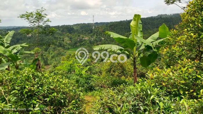 Kavling Tanah Dijual di Bojong, Purwakarta, Luas 2093m2 Area Strategis Kavling Tanah Dijual di Bojong, Purwakarta, Luas 2093m2 Area Strategis