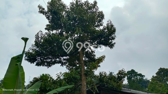 Dijual Tanah di Bojong Purwakarta Luas 1300m2 SHM Dijual Tanah di Bojong Purwakarta Luas 1300m2 SHM