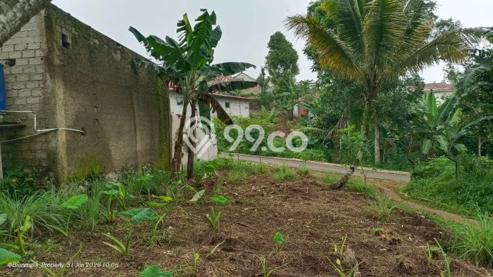 Tanah Dijual Lokasi Darangdan, Purwakarta Luas 211m2 Legalitas Aman Tanah Dijual Lokasi Darangdan, Purwakarta Luas 211m2 Legalitas Aman