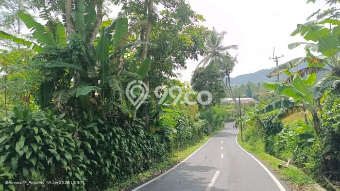 Jarang Ada! Tanah di Kiarapedes Punya Luas 1000m2 SHM Jarang Ada! Tanah di Kiarapedes Punya Luas 1000m2 SHM