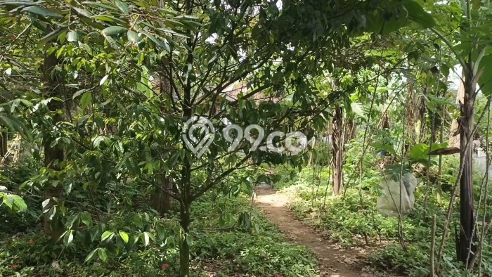 Lahan Dijual Lokasi Darangdan, Purwakarta dengan Luas Tanah 678m2 dan Status - Lahan Dijual Lokasi Darangdan, Purwakarta dengan Luas Tanah 678m2 dan Status -