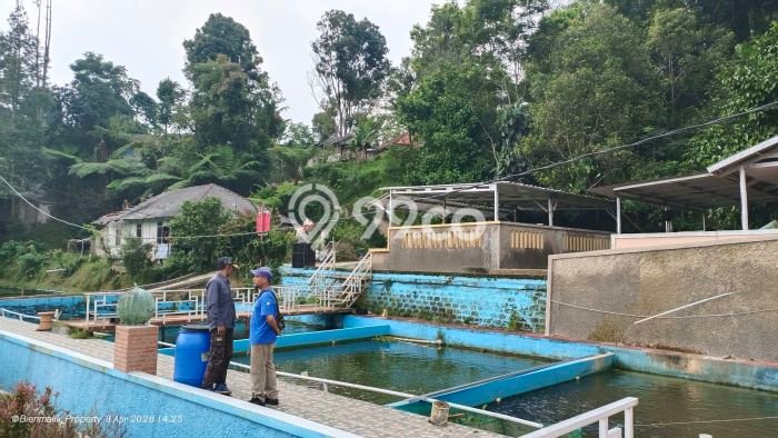 Kavling Tanah Dijual di Bojong Purwakarta Spesifikasi 3000m2 Kavling Tanah Dijual di Bojong Purwakarta Spesifikasi 3000m2