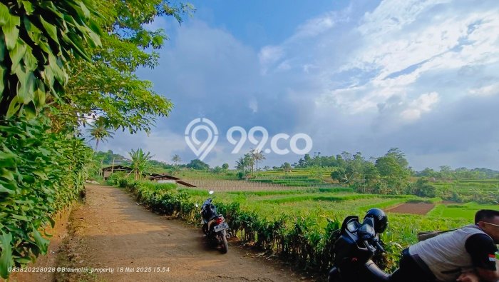 Tanah Kavling untuk Dijual di Darangdan Purwakarta 4000m2 Tanah Kavling untuk Dijual di Darangdan Purwakarta 4000m2