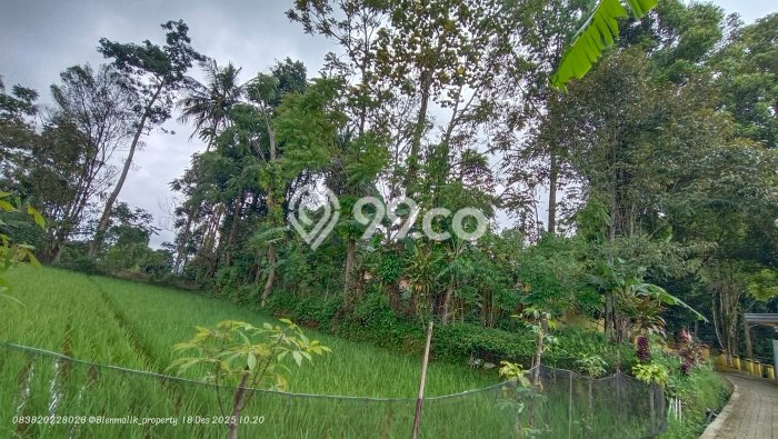 Lahan Dijual Lokasi Darangdan, Purwakarta dengan Luas Tanah 678m2 dan Status - Lahan Dijual Lokasi Darangdan, Purwakarta dengan Luas Tanah 678m2 dan Status -