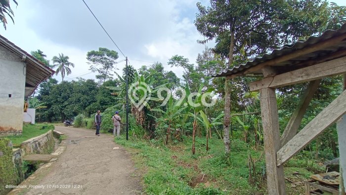 Dijual Tanah di Bojong Purwakarta Luas 1300m2 SHM Dijual Tanah di Bojong Purwakarta Luas 1300m2 SHM