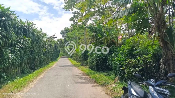 Tanah untuk Dijual Lokasi Kiarapedes, Purwakarta Luas 2227m2 SHM Tanah untuk Dijual Lokasi Kiarapedes, Purwakarta Luas 2227m2 SHM