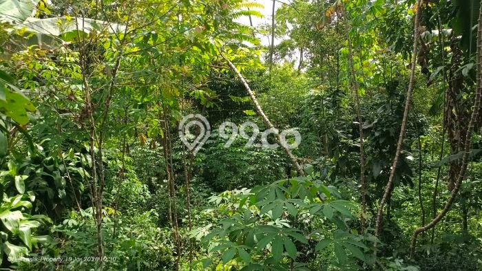 Jarang Ada! Tanah di Kiarapedes Punya Luas 1000m2 SHM Jarang Ada! Tanah di Kiarapedes Punya Luas 1000m2 SHM