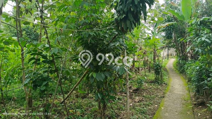 Dijual Tanah di Bojong Purwakarta Luas 1300m2 SHM Dijual Tanah di Bojong Purwakarta Luas 1300m2 SHM