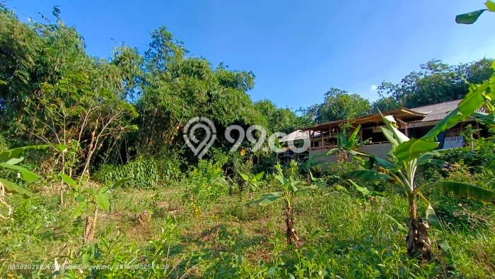 Tanah Dijual Lokasi Darangdan Purwakarta SHM Tanah Dijual Lokasi Darangdan Purwakarta SHM