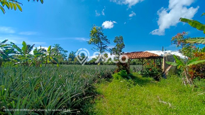 Kavling Tanah di Darangdan Dijual Luas 20000m2 Legalitas SHM Kavling Tanah di Darangdan Dijual Luas 20000m2 Legalitas SHM