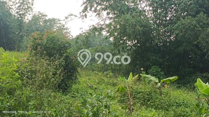 Kavling Tanah Dijual di Darangdan Purwakarta Spesifikasi 14430m2 Kavling Tanah Dijual di Darangdan Purwakarta Spesifikasi 14430m2