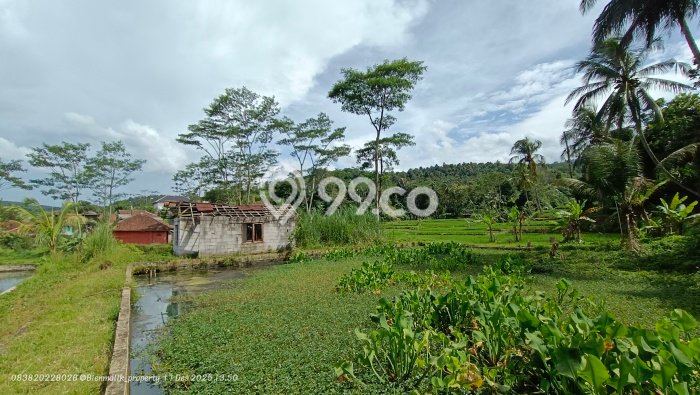 Dijual Tanah di Kiarapedes Purwakarta Luas 3m2 SHM Dijual Tanah di Kiarapedes Purwakarta Luas 3m2 SHM