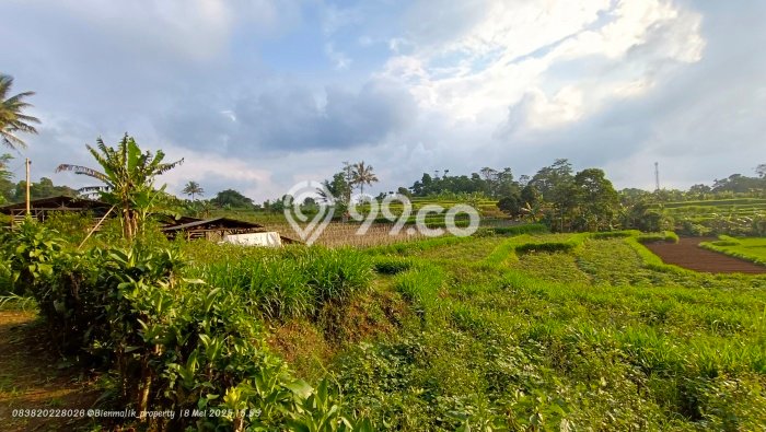 Tanah Kavling untuk Dijual di Darangdan Purwakarta 4000m2 Tanah Kavling untuk Dijual di Darangdan Purwakarta 4000m2
